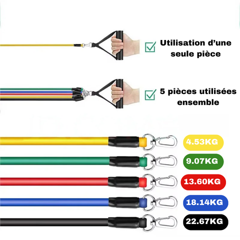 ElastiFit - Bandes Élastiques de Résistance Fitness